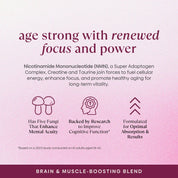 Daily Longevity Blend